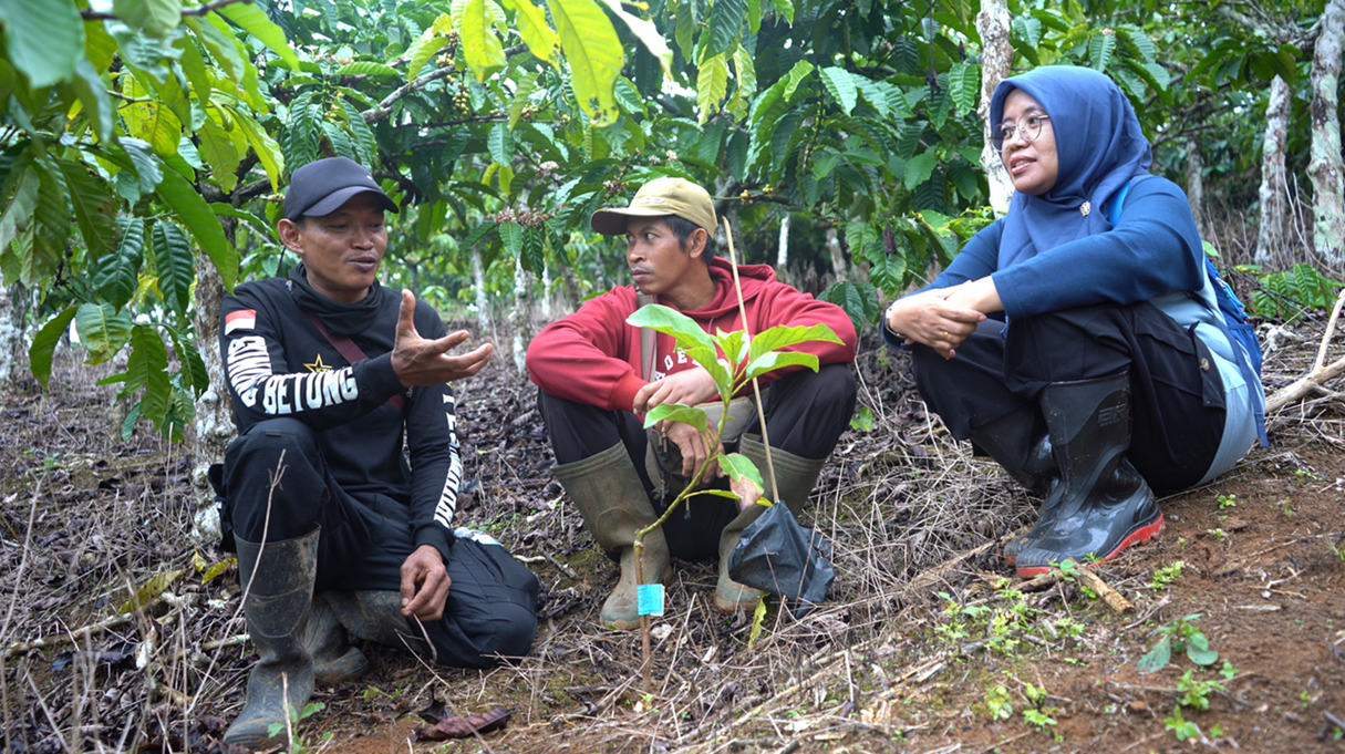 Menanam Harapan di Jantung Hutan Lampung