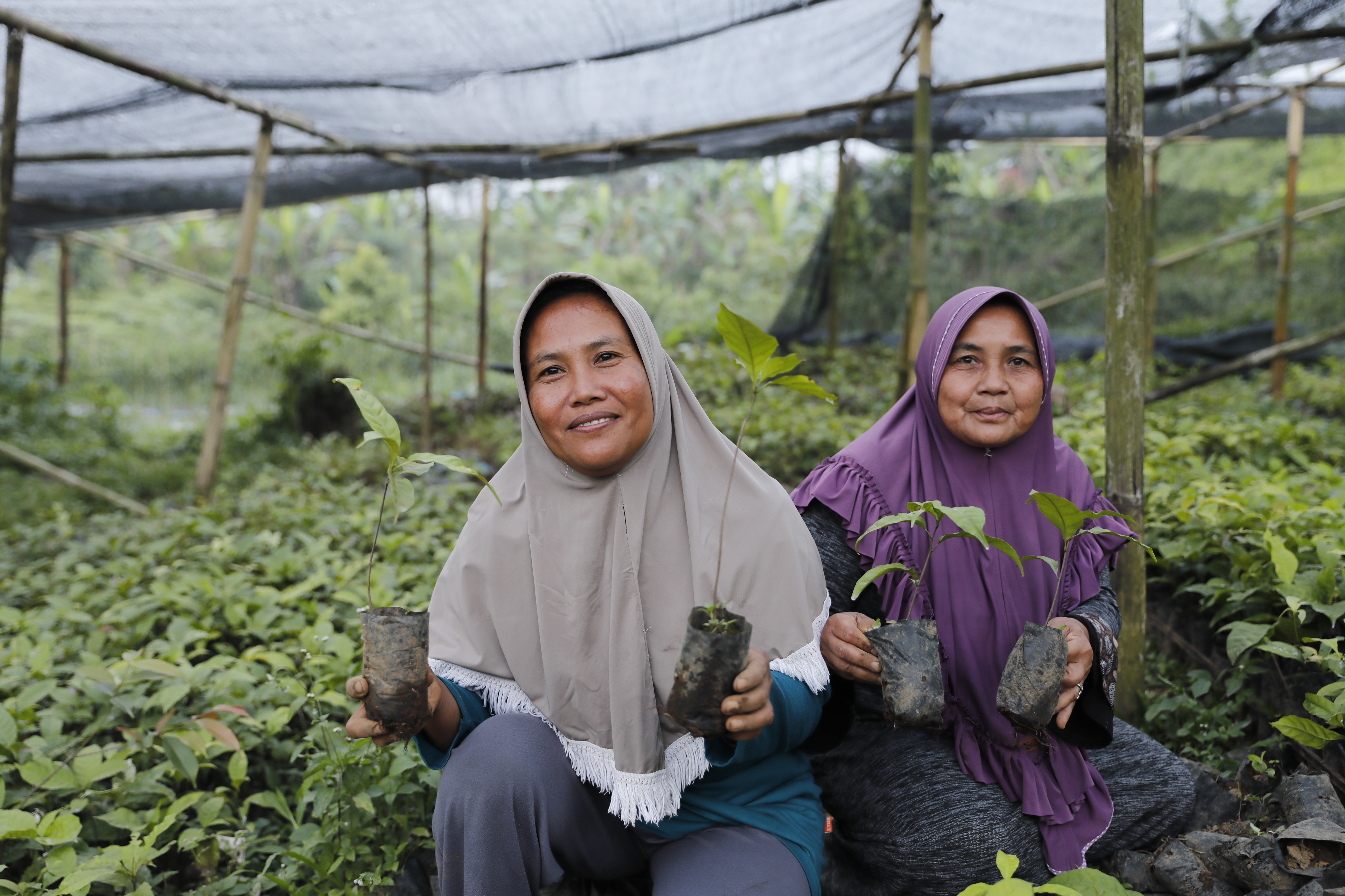 Indonesia Result-Based Payment (RBP) REDD+ Green Climate Fund Output 1 dan 3